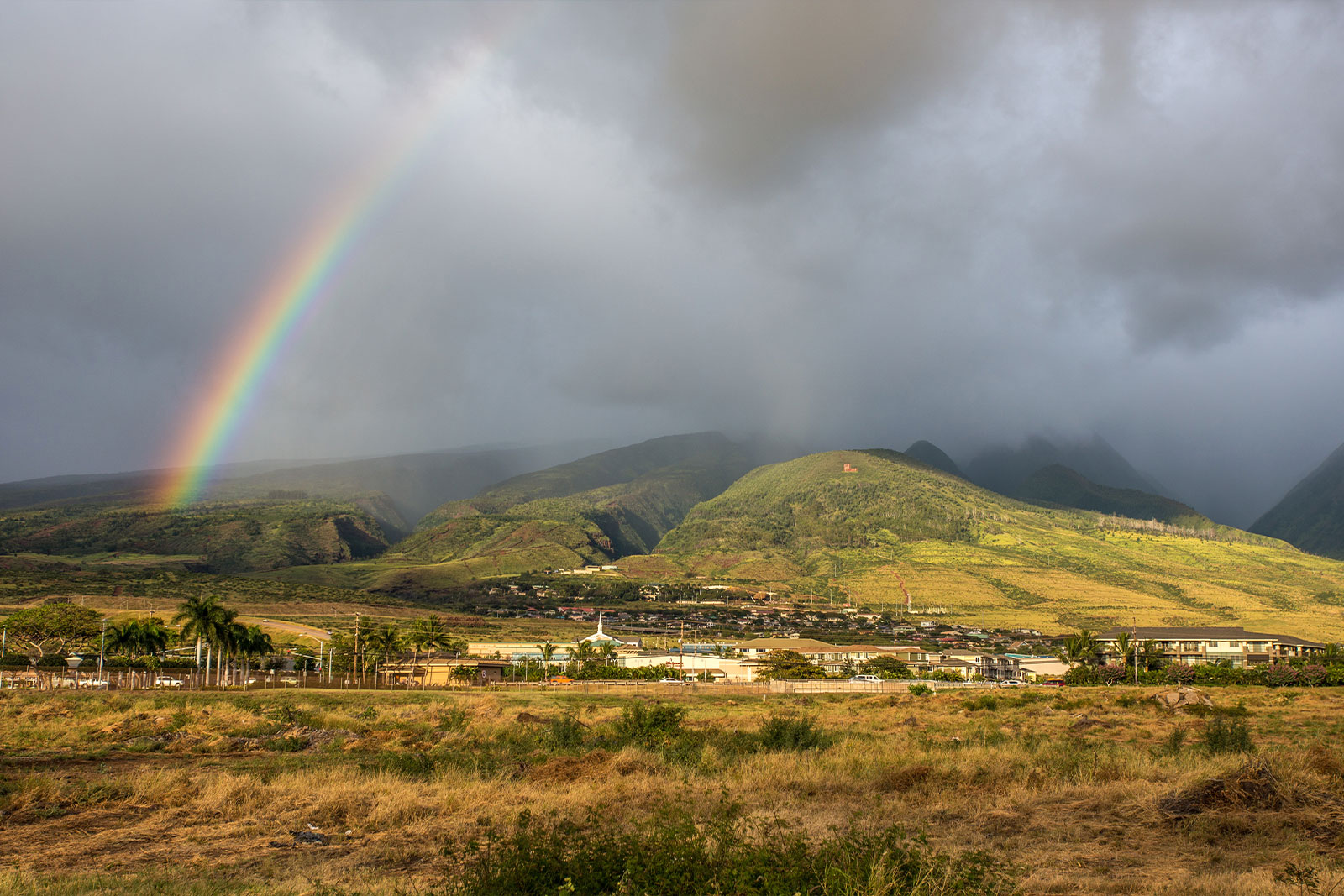  html    head  title 500 Internal Server Error  title   head    body    center  h1 500 Internal Server Error  h1   center    hr  center nginx 1.29.3  center     body     html 