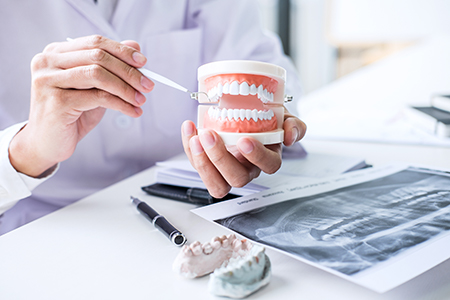 The image shows a person, presumably a dentist, holding a tooth model in their hand over an open mouth cast, with various dental tools and equipment visible on a table behind them.